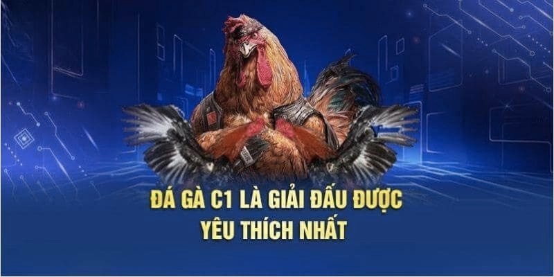 Những thông tin cần biết về đá gà C1 hấp dẫn người chơi kèo gà