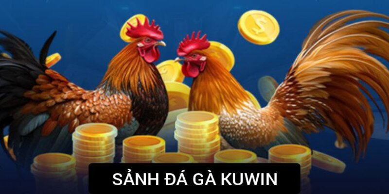 Thông tin về sảnh đá gà Kuwin